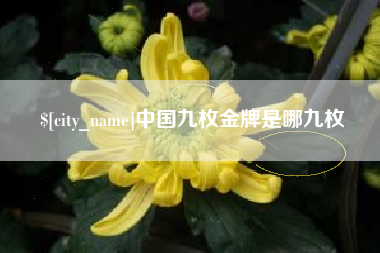 东莞中国九枚金牌是哪九枚