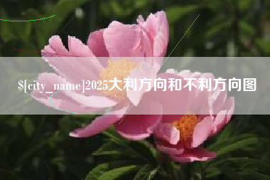 东莞2025大利方向和不利方向图