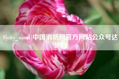 东莞中国消防网官方网站公众号达伦特