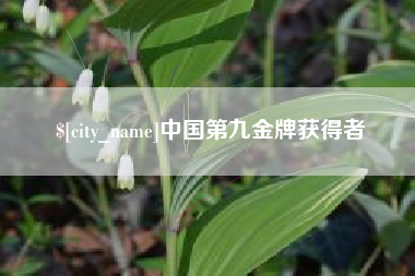 东莞中国第九金牌获得者