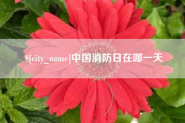 东莞中国消防日在哪一天