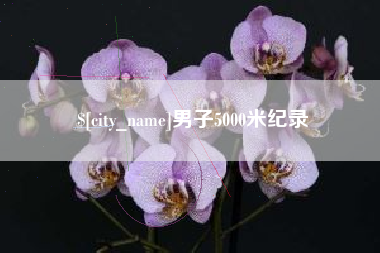 东莞男子5000米纪录