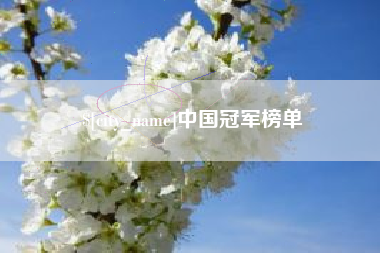 东莞中国冠军榜单