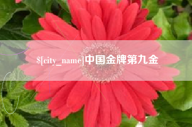 东莞中国金牌第九金