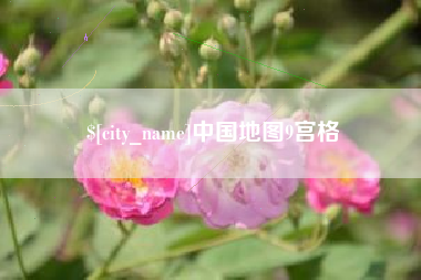 东莞中国地图9宫格