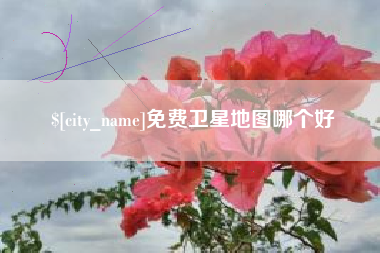东莞免费卫星地图哪个好