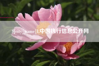 东莞1.中国执行信息公开网