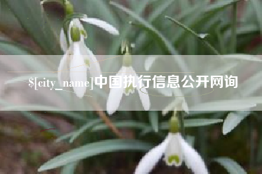 东莞中国执行信息公开网询