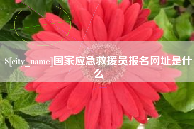 东莞国家应急救援员报名网址是什么