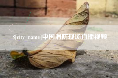 东莞中国消防现场直播视频