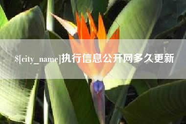 东莞执行信息公开网多久更新