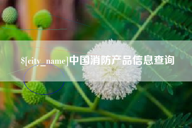 东莞中国消防产品信息查询