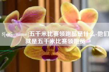 东莞五千米比赛领跑员是什么-他们就是五千米比赛领跑员