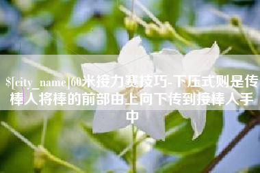 东莞60米接力赛技巧-下压式则是传棒人将棒的前部由上向下传到接棒人手中