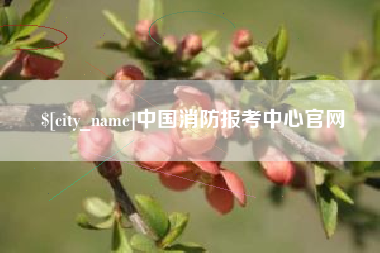 东莞中国消防报考中心官网
