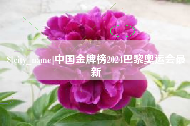 东莞中国金牌榜2024巴黎奥运会最新