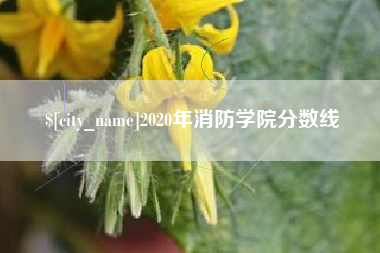 东莞2020年消防学院分数线