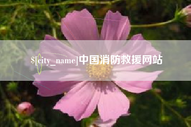 东莞中国消防救援网站