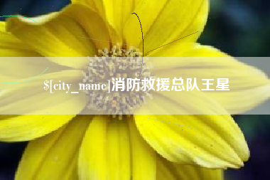 东莞消防救援总队王星