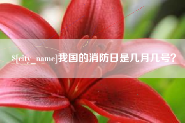 东莞我国的消防日是几月几号？