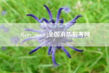 东莞全国消防招考网