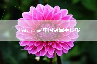 东莞中国冠军手抄报
