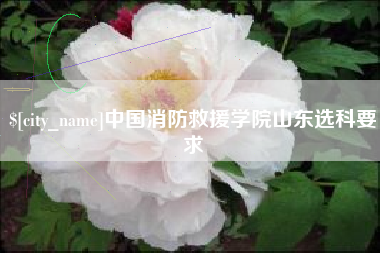 东莞中国消防救援学院山东选科要求