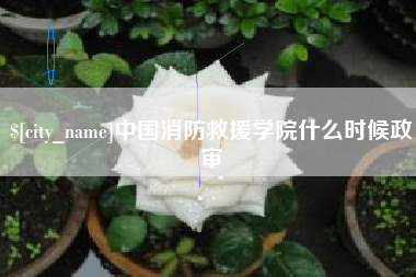 东莞中国消防救援学院什么时候政审