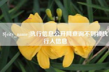 东莞执行信息公开网查询不到被执行人信息