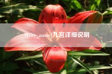 东莞九宫详细说明