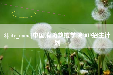 东莞中国消防救援学院2019招生计划