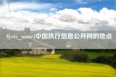 东莞中国执行信息公开网的地点
