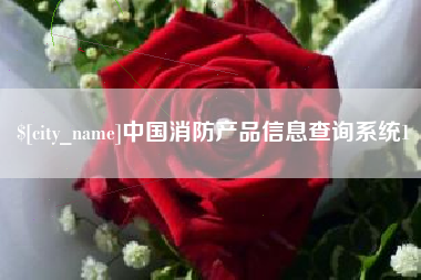 东莞中国消防产品信息查询系统1