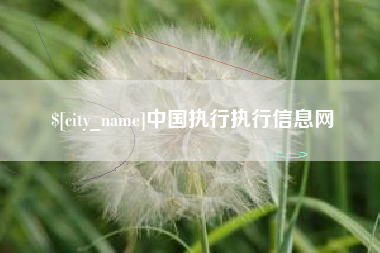 东莞中国执行执行信息网