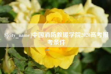 东莞中国消防救援学院2020高考报考条件