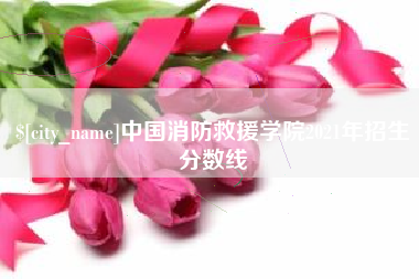 东莞中国消防救援学院2021年招生分数线
