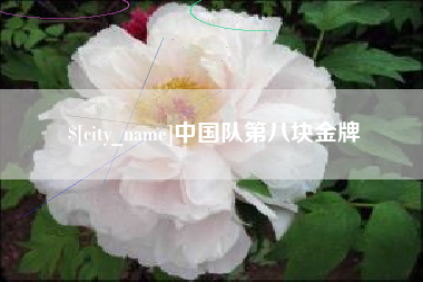 东莞中国队第八块金牌
