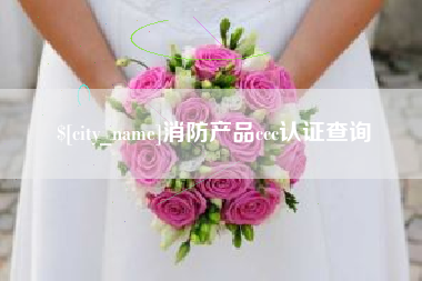 东莞消防产品ccc认证查询