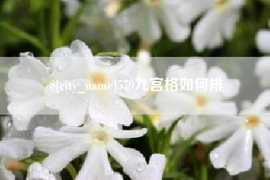东莞579九宫格如何排