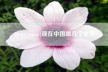 东莞现在中国哪几个金牌