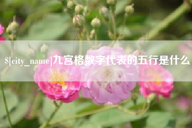 东莞九宫格数字代表的五行是什么