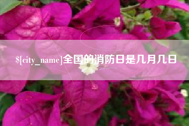 东莞全国的消防日是几月几日
