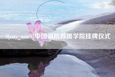 东莞中国消防救援学院挂牌仪式