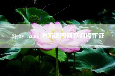 东莞消防证国网查询操作证