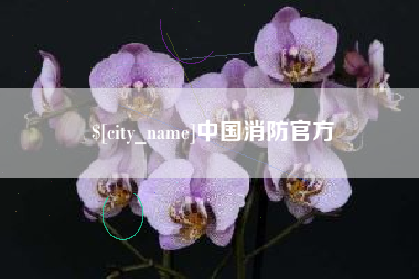 东莞中国消防官方