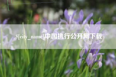 东莞中国执行公开网下载