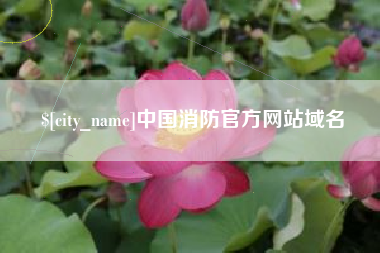 东莞中国消防官方网站域名