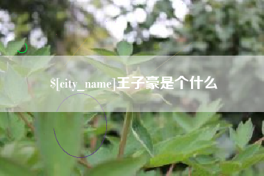 东莞王子豪是个什么
