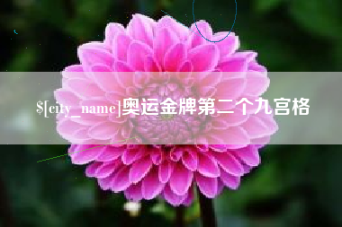 东莞奥运金牌第二个九宫格