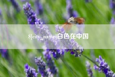 东莞白色在中国